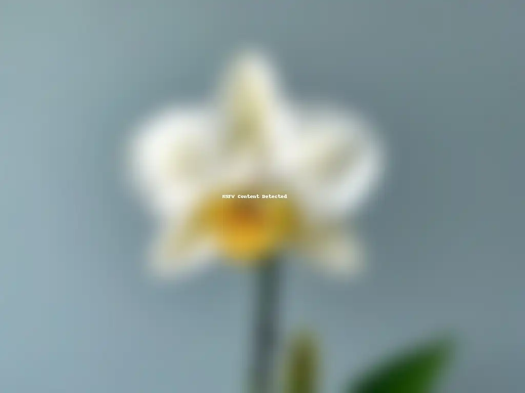 Detalle exquisito de una flor de orquídea vainilla, resaltando su elegancia y belleza natural en producción de vainilla comercio justo